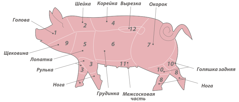 Лучшие части свиньи. Рулька свиная схема разделки. Щековина свиная часть туши. Корейка свиная часть туши. Голяшка свиная схема разделки.