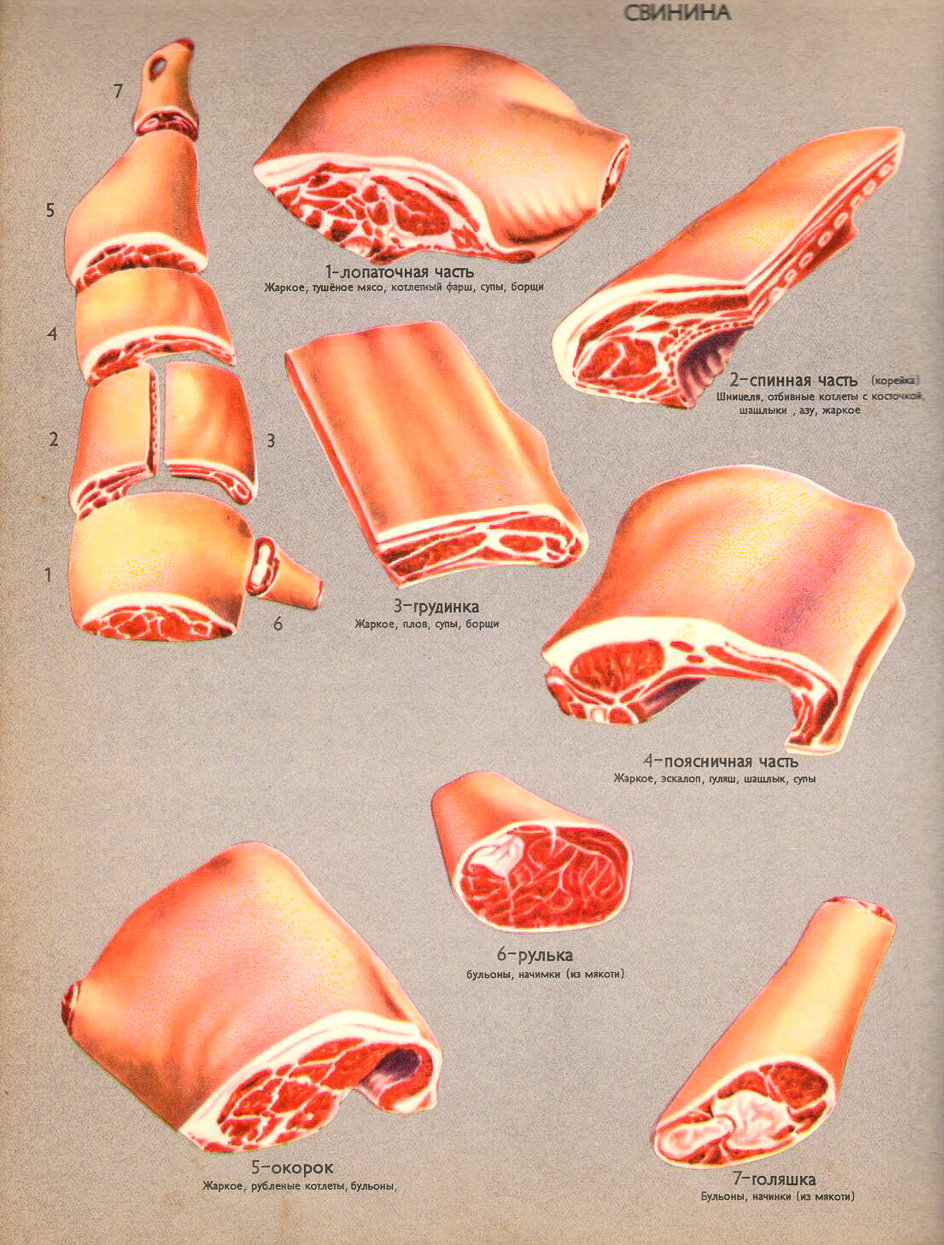 Названия разделки свинины. Части разделки свиной туши. Разруб свиной туши на части. Свинина разруб части. Мясо части туши свиньи.