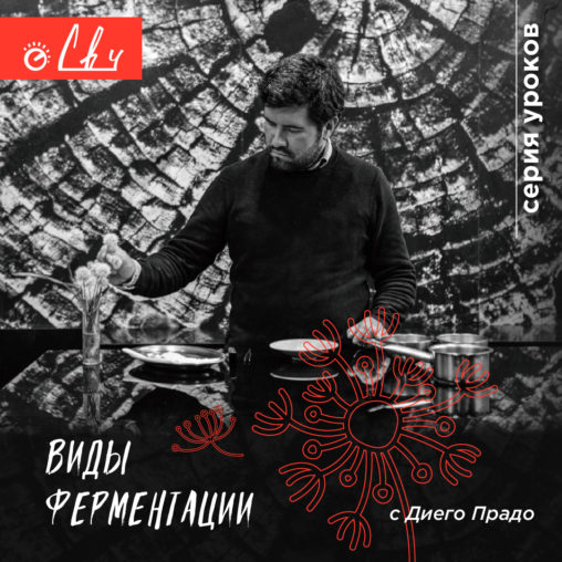 diego-vidy-fermentatsii